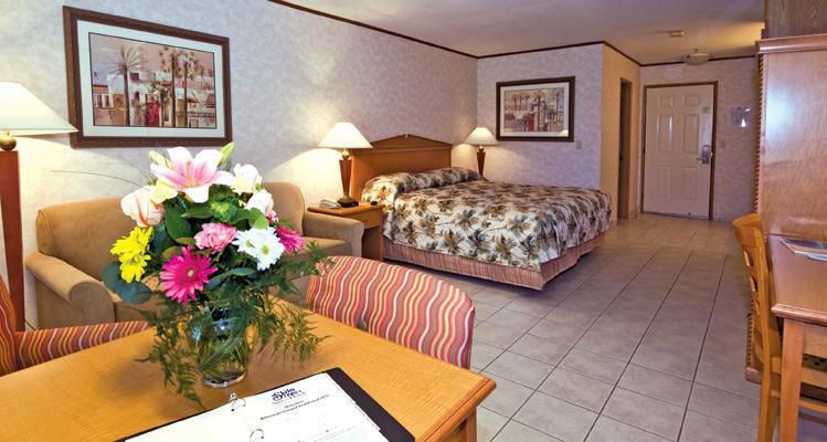 The Garden Vista Hotel Palm Springs Room photo